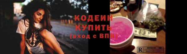 ГАЛЛЮЦИНОГЕННЫЕ ГРИБЫ Осташков