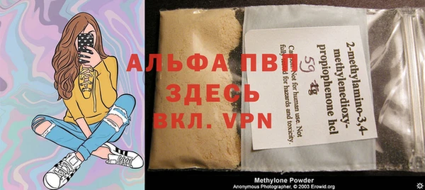сатива Арсеньев