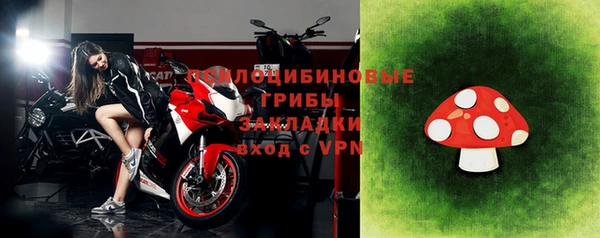 jwh Пересвет